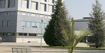Universidad